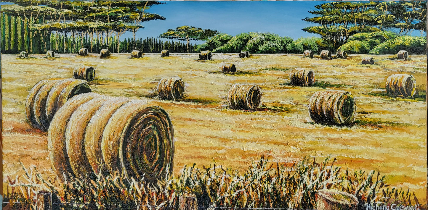 Hay Bales in Field
