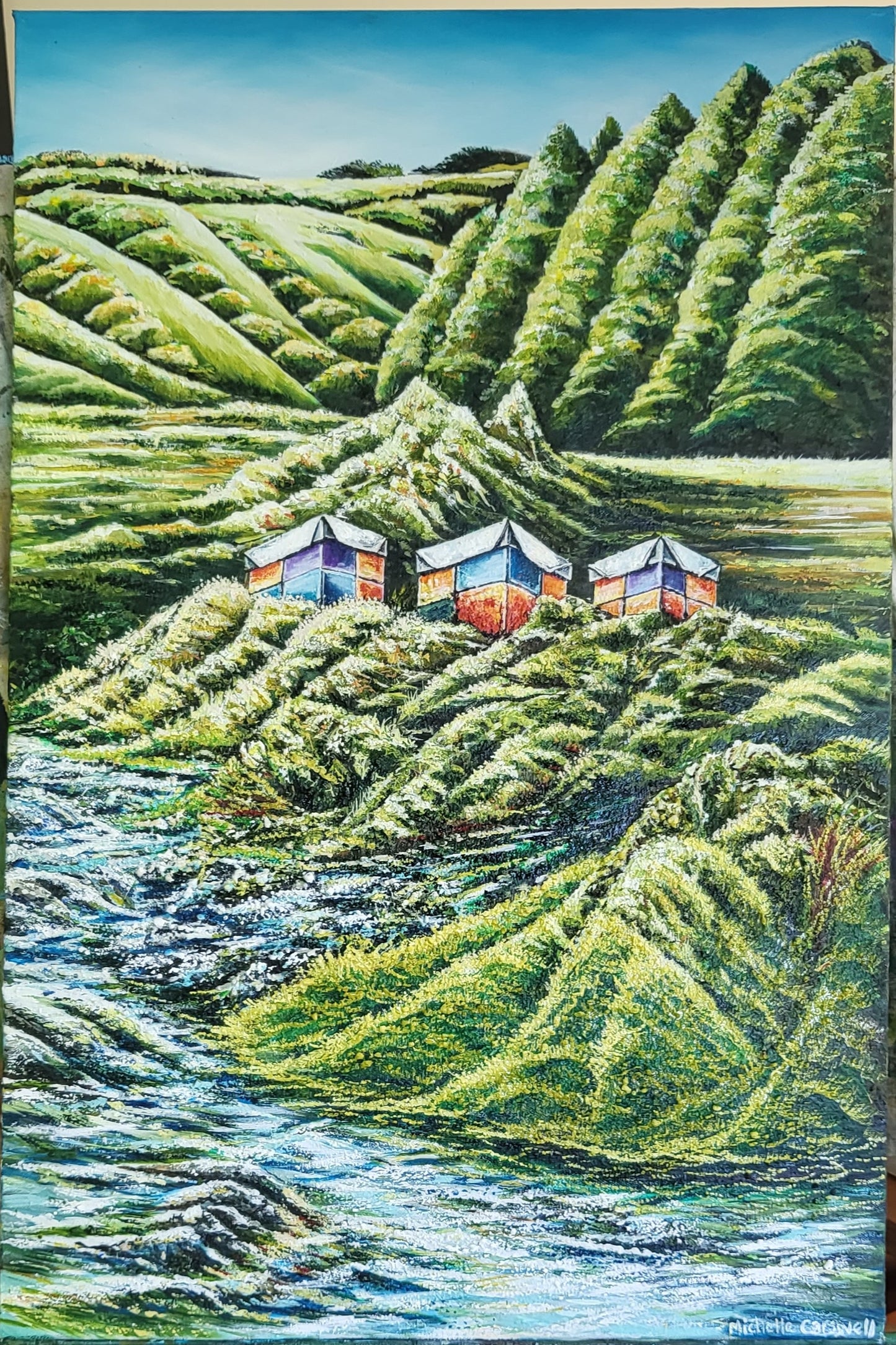 Koura Creek - Hawkes Bay