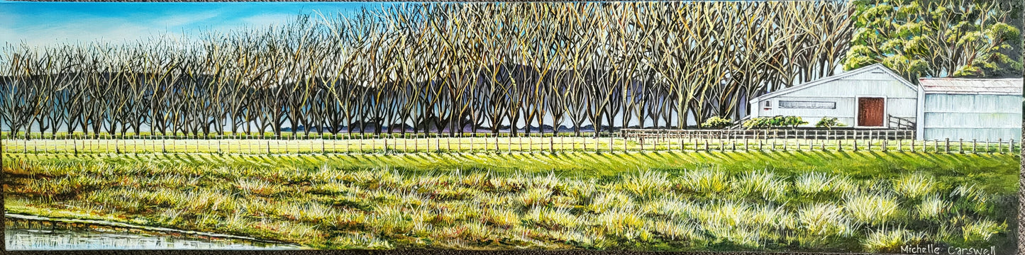 Prebensen Drive | Napier