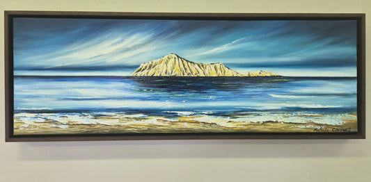 Bare Island | Hawkes Bay NZ