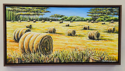 Hay Bales in Field