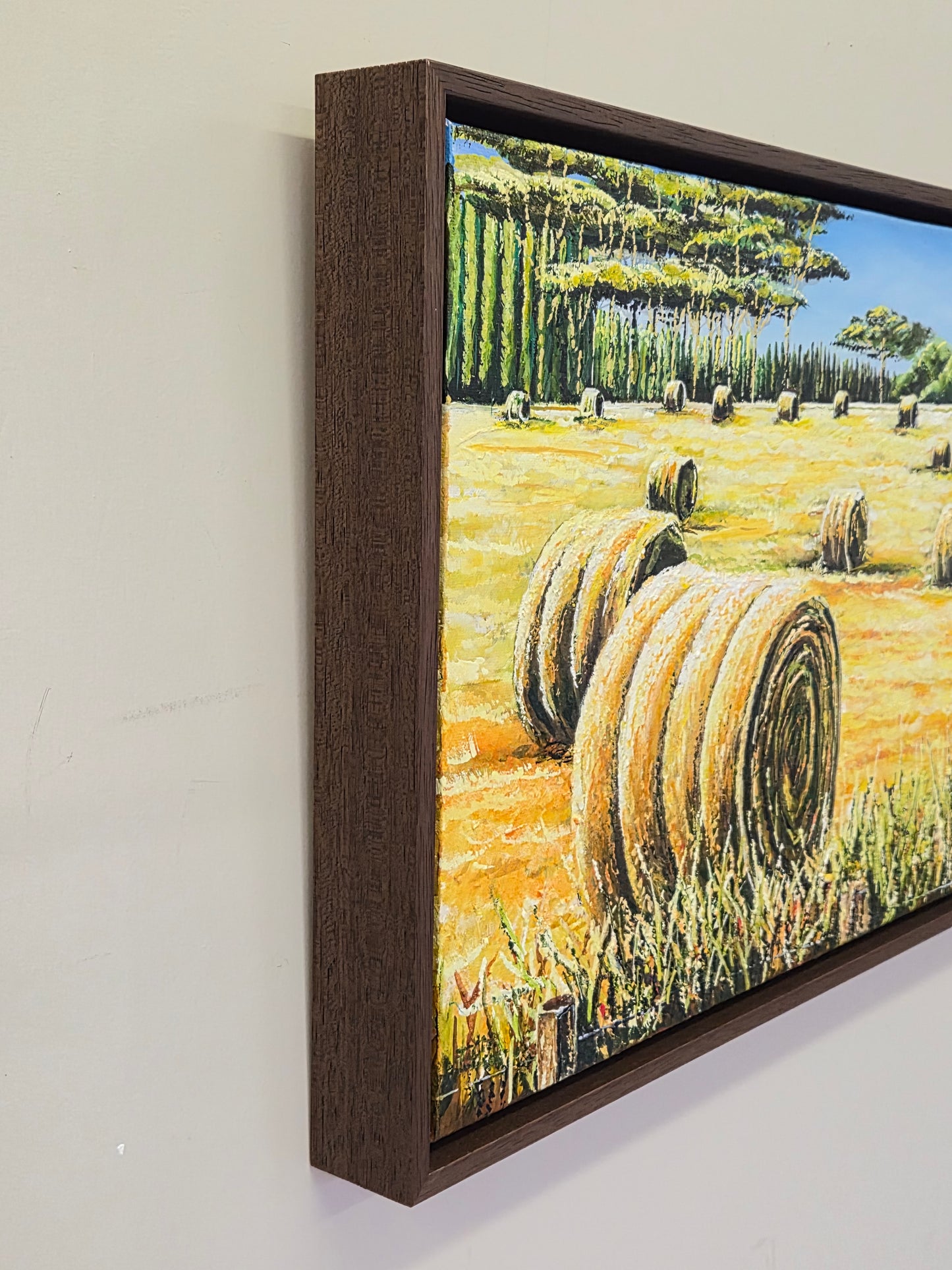 Hay Bales in Field