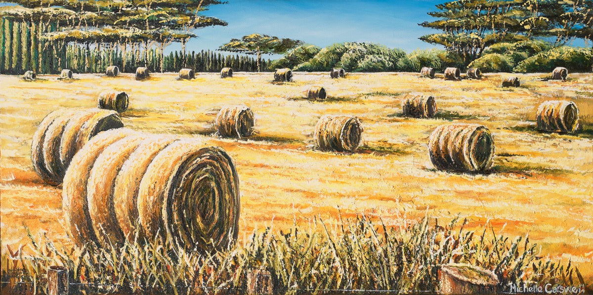 Hay Bales in Field - NZ