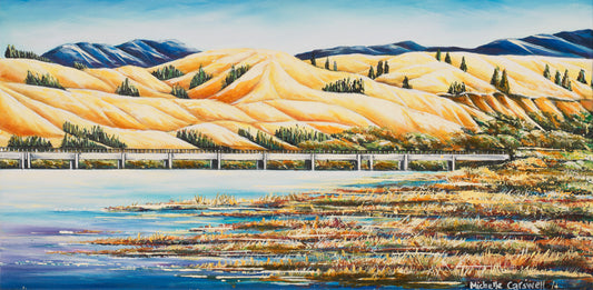 Napier Estuary - Hawkes Bay NZ