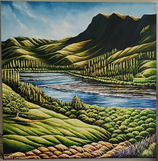 Tukituki  River - Hawkes Bay NZ