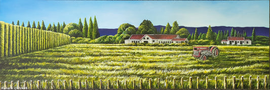 Woolshed Pakowhai Rd - Hastings