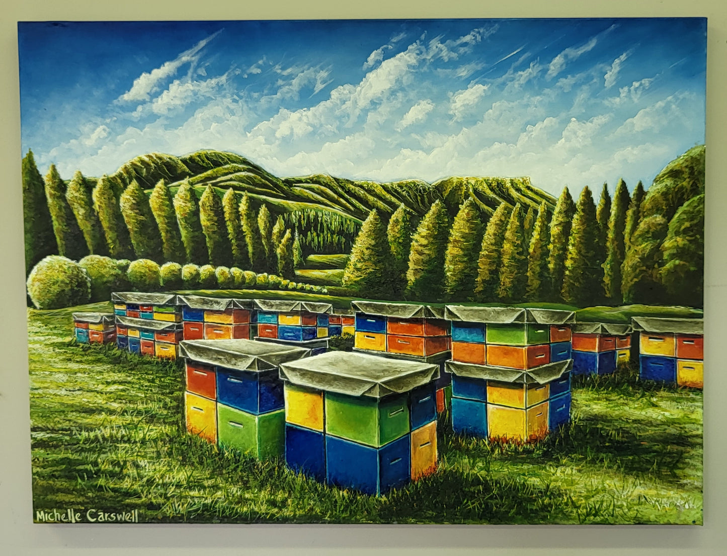 Hukanui Station | Puketitiri